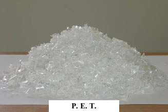 P. E. T